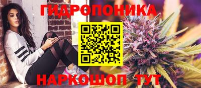 ПСИЛОЦИБИНОВЫЕ ГРИБЫ Бузулук
