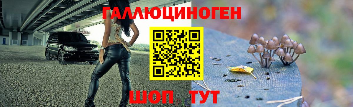 купить наркоту  Вход с VPN  Петрозаводск  Псилоцибиновые грибы Psilocybe 